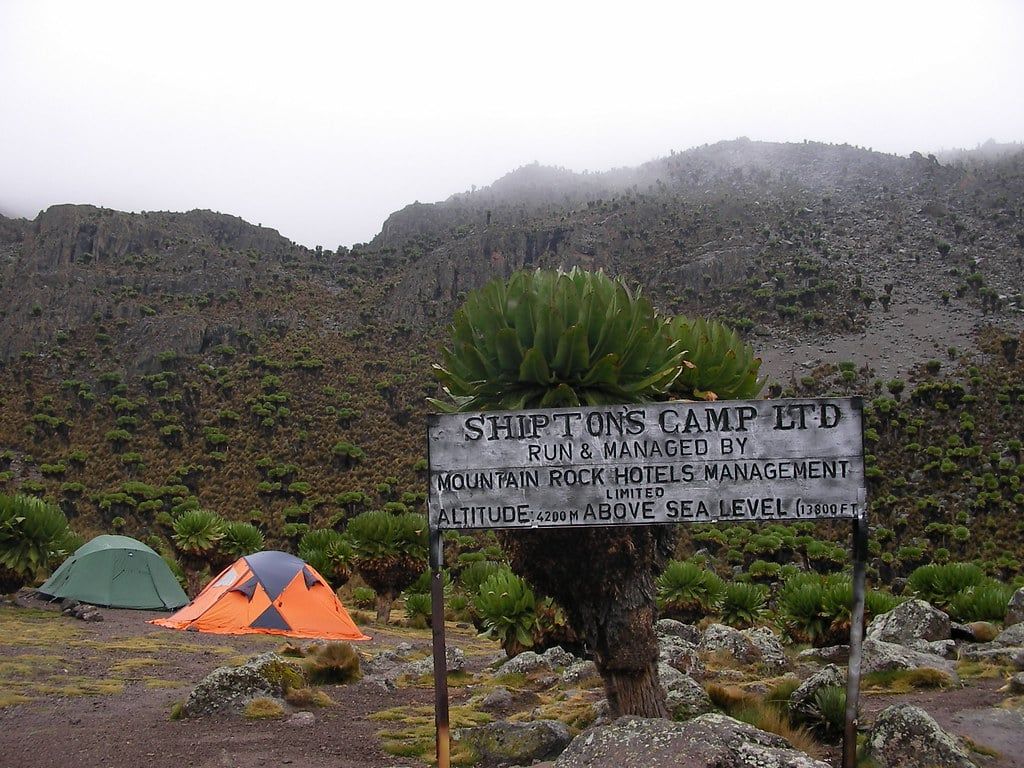 Tents pitched behind a wooden sign for Shipton's Camp amid alpine groundsels on Mount Kenya.