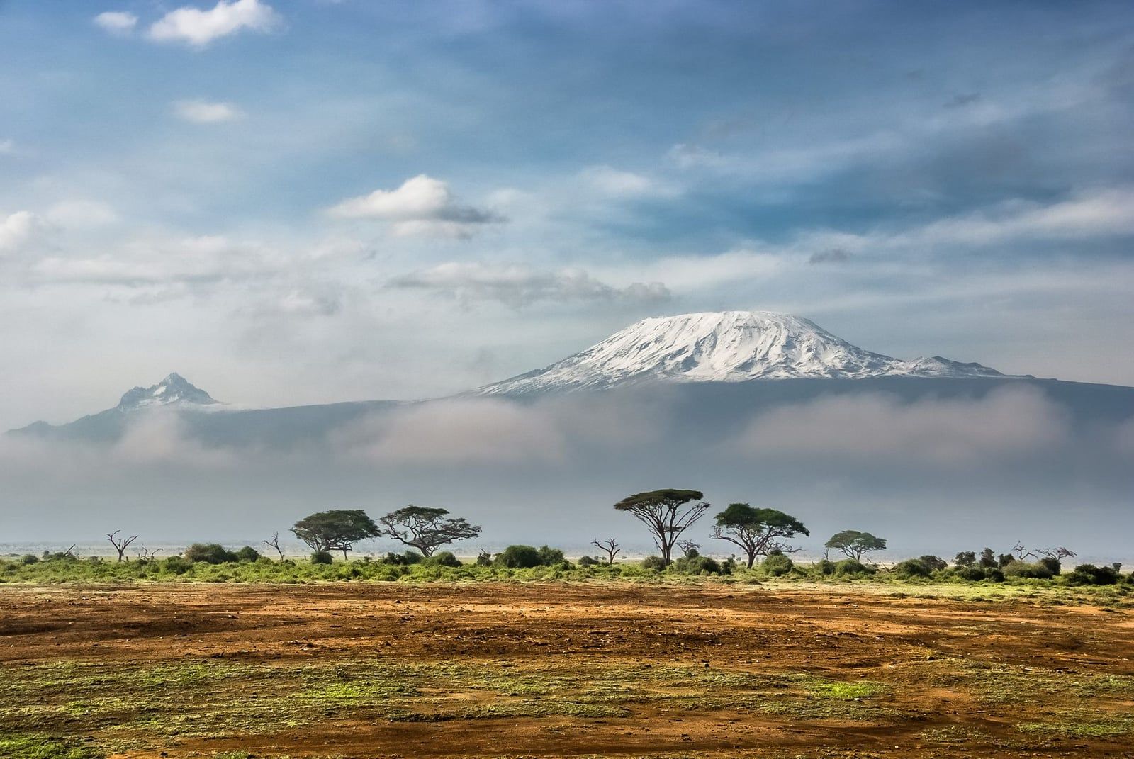 Mount Kilimanjaro's snow-capped Kibo summit rises above a layer of low clouds and the flat savannah dotted with acacia trees.