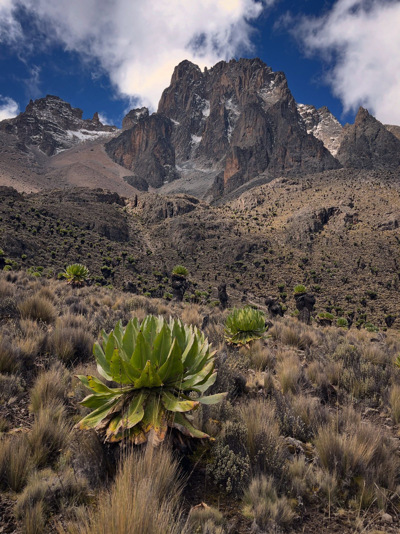 Mount Kenya view