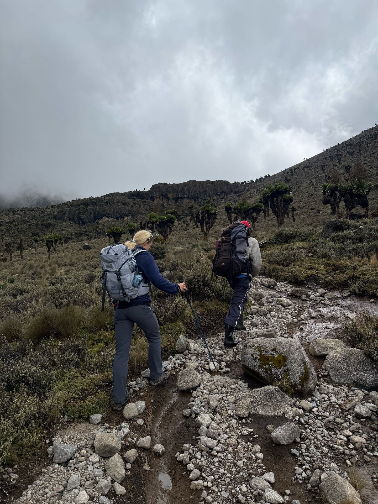 Mount Kenya tour visitor photo